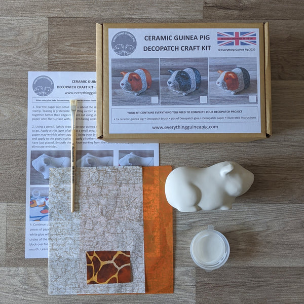 Decopatch a Ceramic Guinea Pig Craft Kit (Ginger & White)