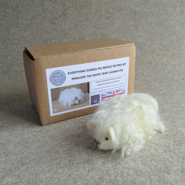 Guinea Pig Needle Felting Craft Kit - Penelope White Texel