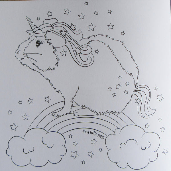 Guinea Pig Colouring Book
