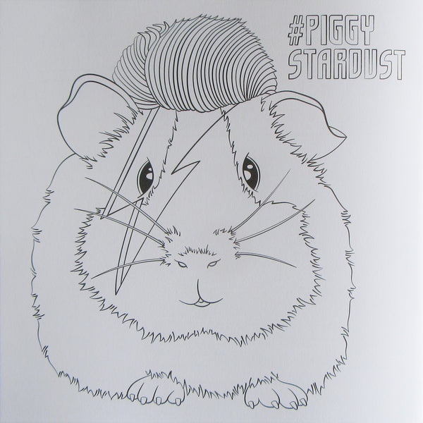 Guinea Pig Colouring Book