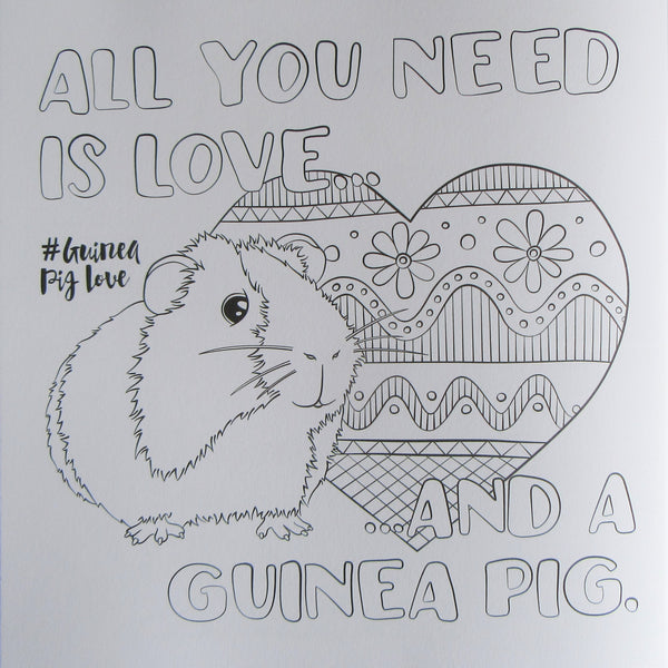 Guinea Pig Colouring Book
