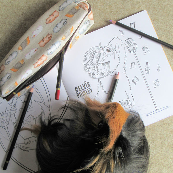 Guinea Pig Colouring Book