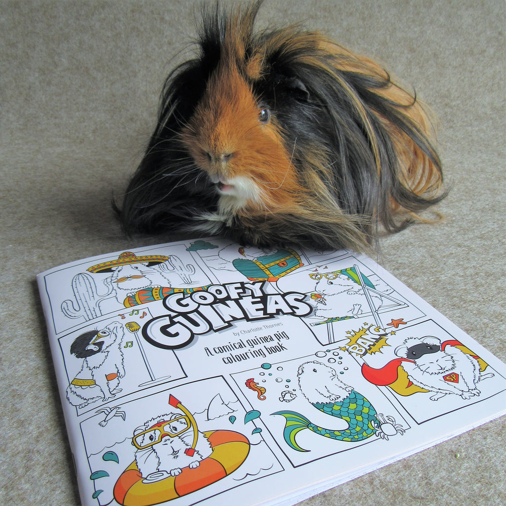 Guinea Pig Coloring Book: A Cute Adult Coloring Book with Beautiful and Relaxing Guinea Pig Designs, Mandalas, Flowers, Patterns And So Much More. for Guinea Pig Lovers and Owners. [Book]