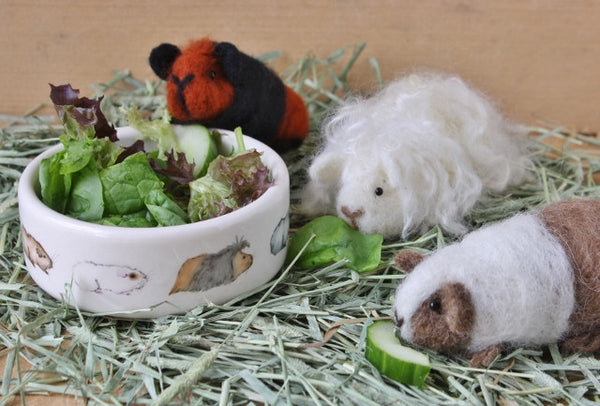 Guinea Pig Needle Felting Craft Kit - Doris Brown & White