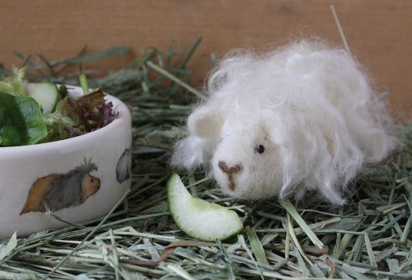 Guinea Pig Needle Felting Craft Kit - Penelope White Texel