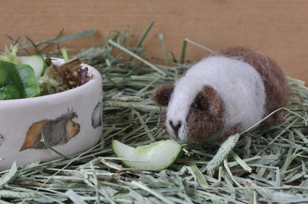 Guinea Pig Needle Felting Craft Kit - Doris Brown & White
