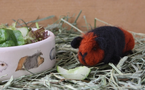 Guinea Pig Needle Felting Craft Kit - Bertie Black & Tan