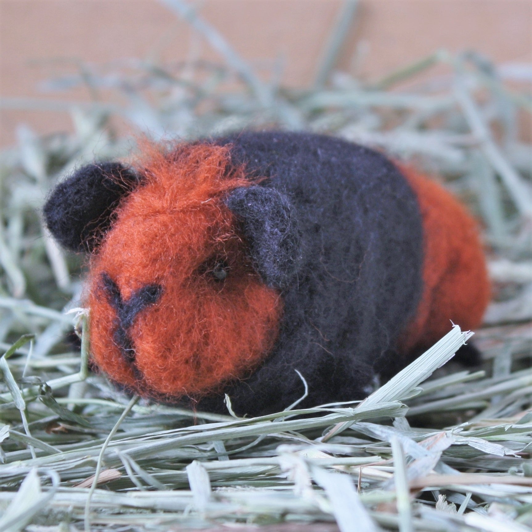 Guinea Pig Needle Felting Craft Kit - Bertie Black & Tan