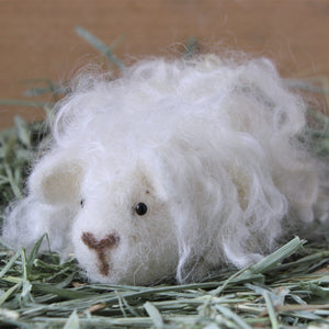 Guinea Pig Needle Felting Craft Kit - Penelope White Texel