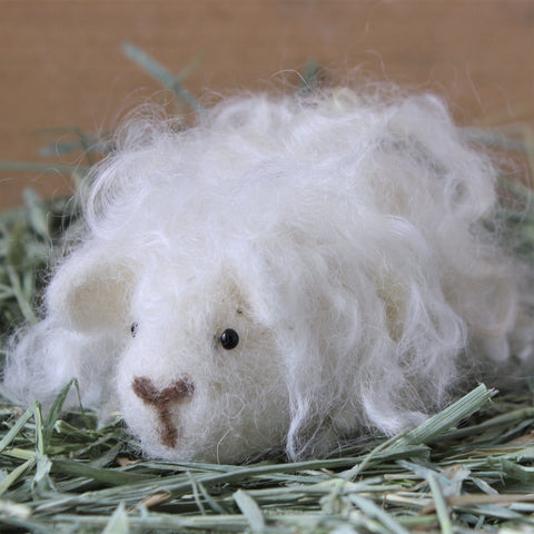 Guinea Pig Needle Felting Craft Kit - Penelope White Texel