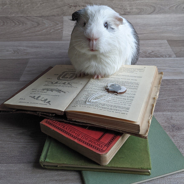 Guinea Pig Clip Book Mark (Grey/White)