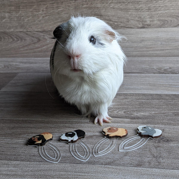 Guinea Pig Clip Book Mark (Ginger/White)