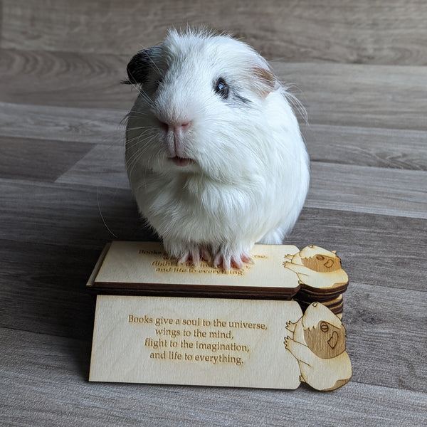 Guinea Pig Book Mark (Flat)