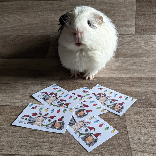 Pack of 5 Guinea Pig Christmas Gift Tags (Fairy Lights)