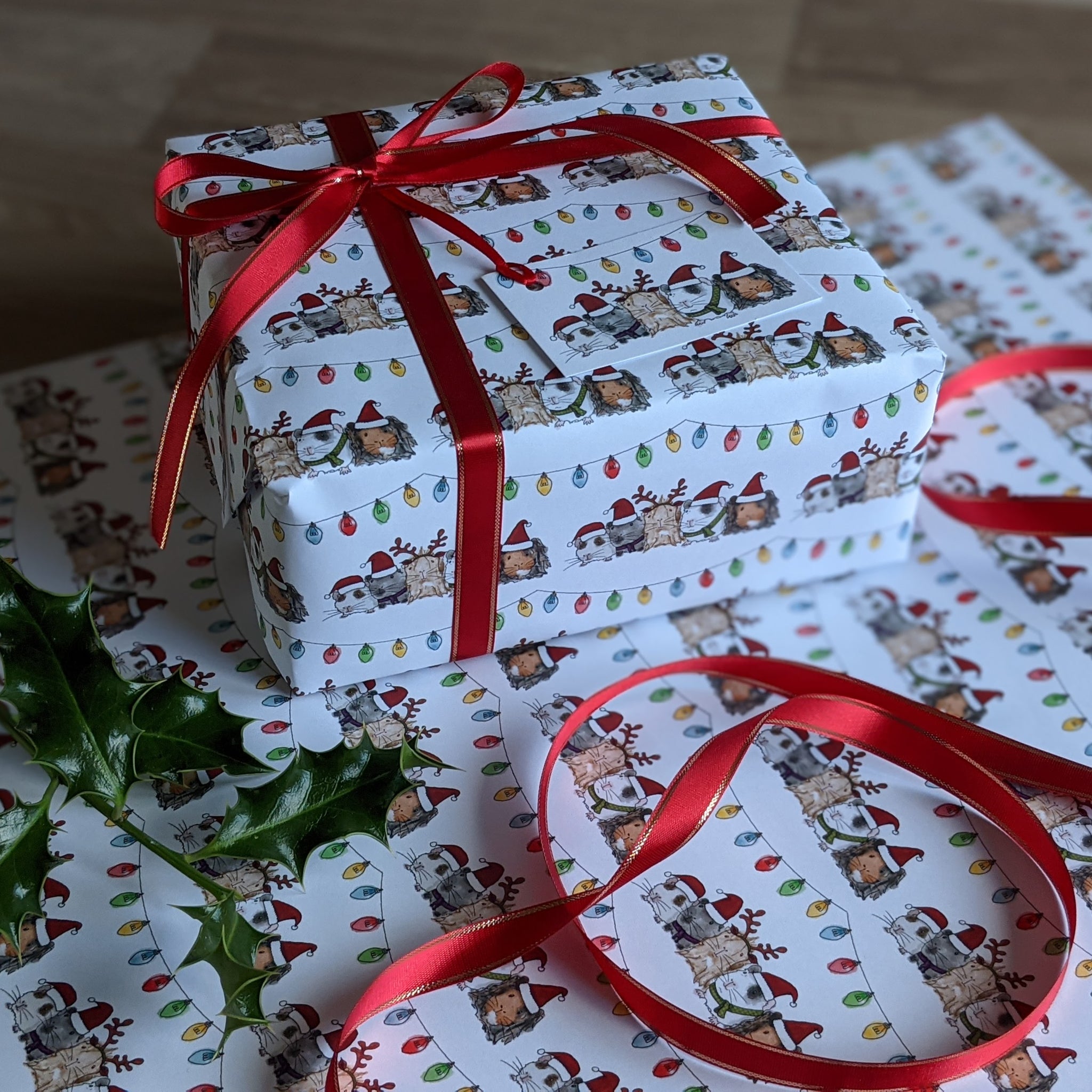 Guinea Pig Christmas Wrapping Paper and Gift Tag Set (Fairy Lights)