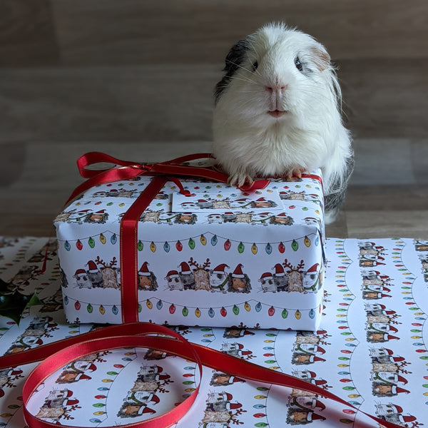 Guinea Pig Christmas Wrapping Paper and Gift Tag Set (Fairy Lights)