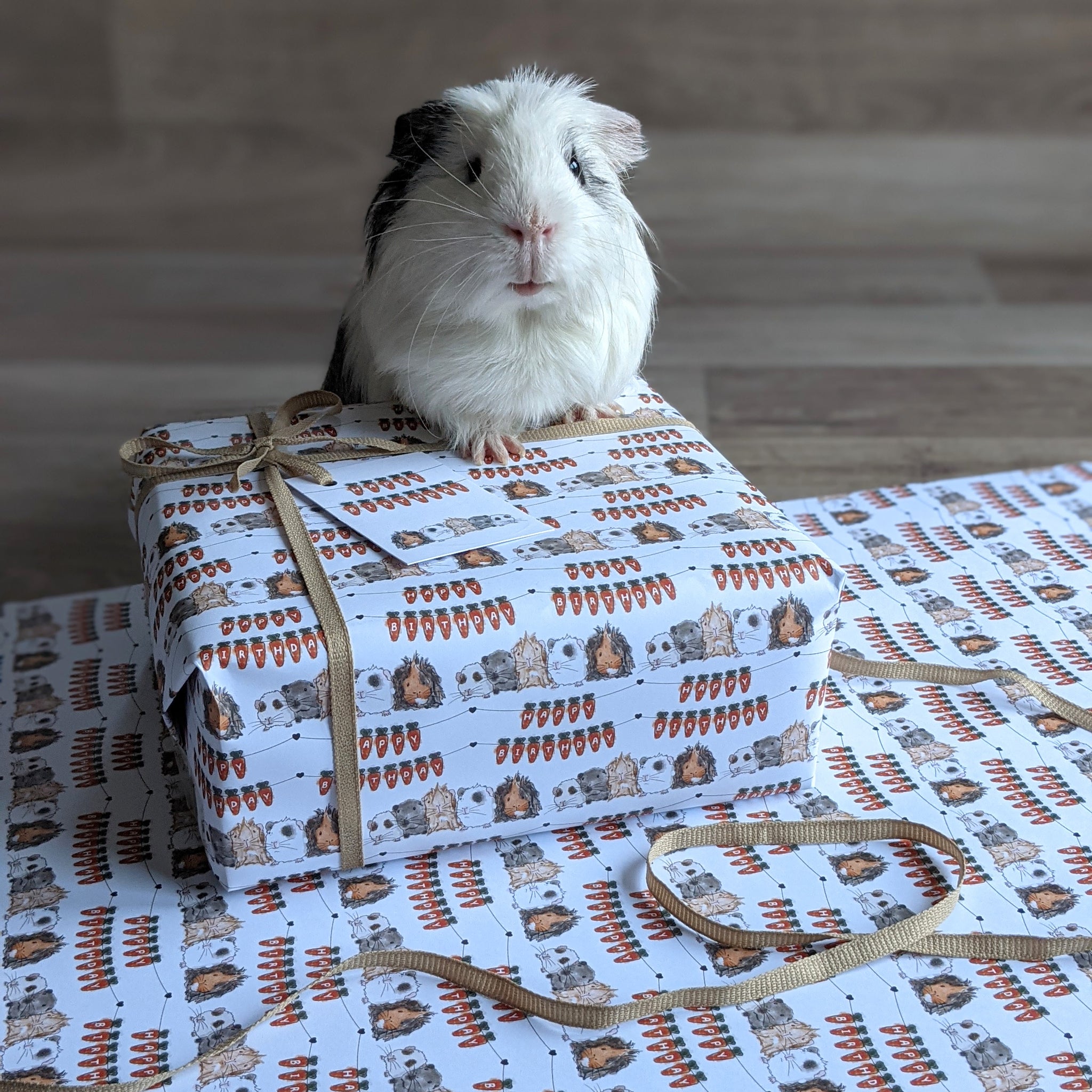 Guinea Pig Birthday Wrapping Paper and Gift Tag Set