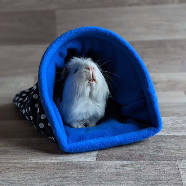Guinea Pig Bed / Pigloo - Blue/White
