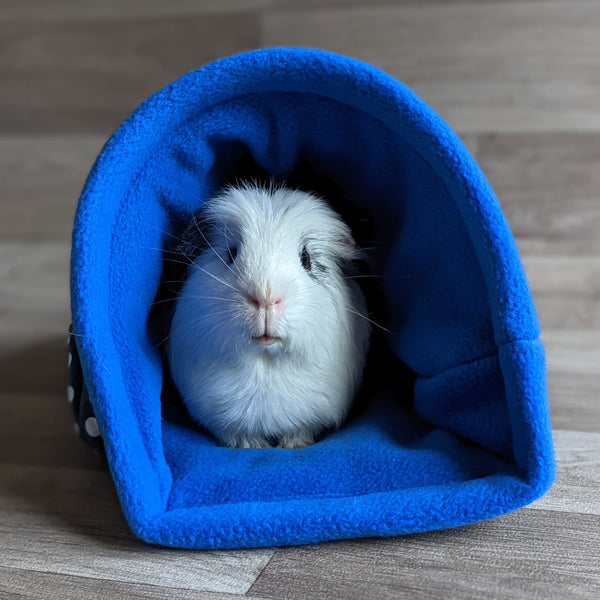 Guinea Pig Bed / Pigloo - Blue/White