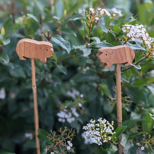 Oak Guinea Pig Cane Toppers (Set of 2)