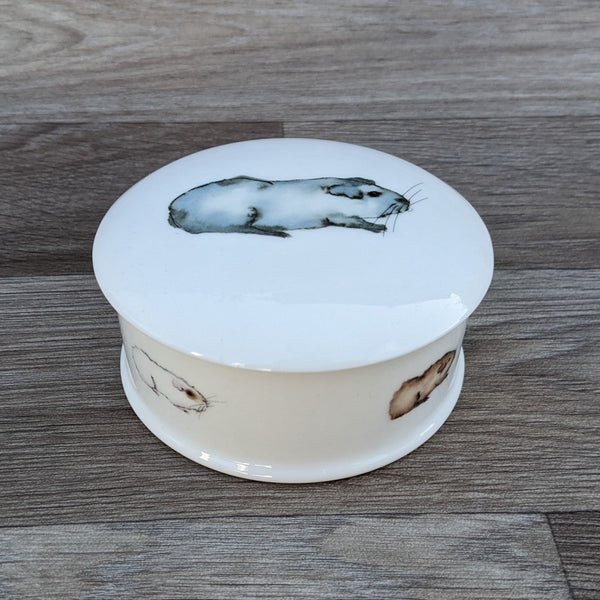 Fine China Guinea Pig Trinket Box