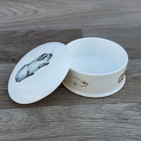 Fine China Guinea Pig Trinket Box