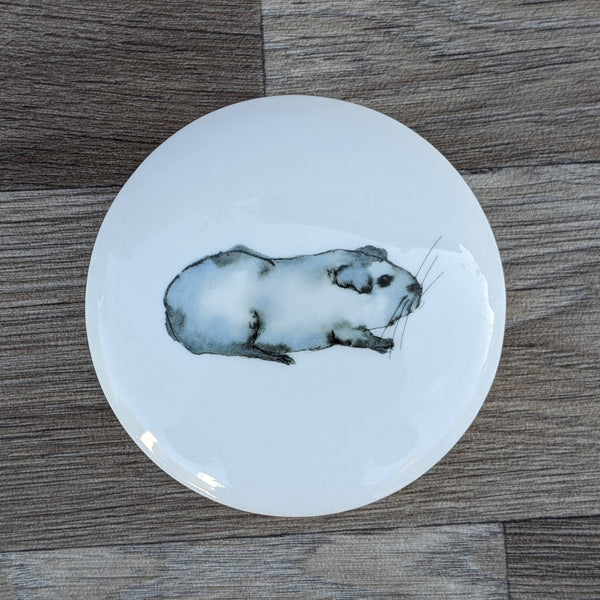 Fine China Guinea Pig Trinket Box