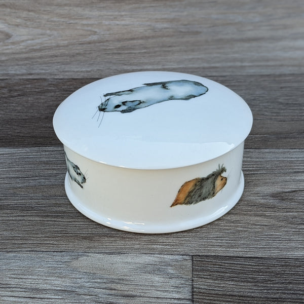 Fine China Guinea Pig Trinket Box