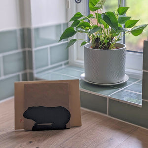 Guinea Pig Letter Rack