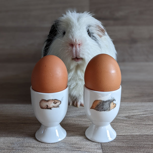 Guinea Pig Egg Cups