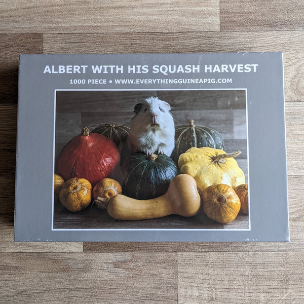 Guinea Pig Jigsaw Puzzle 1000 piece - Albert with his Squash Harvest