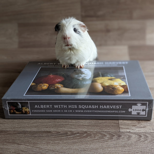Guinea Pig Jigsaw Puzzle 1000 piece - Albert with his Squash Harvest