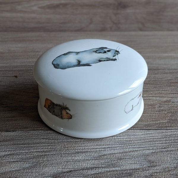 Fine China Guinea Pig Trinket Box