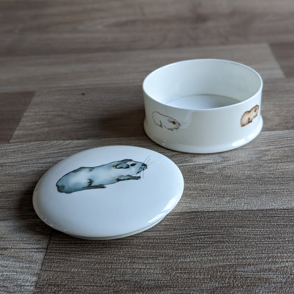 Fine China Guinea Pig Trinket Box