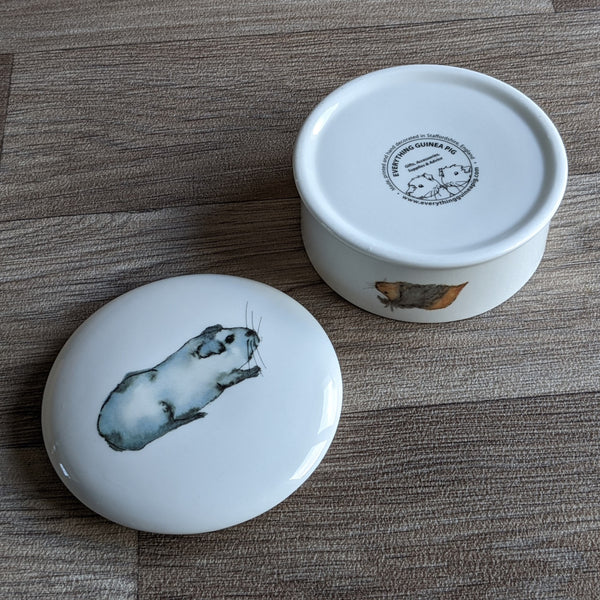 Fine China Guinea Pig Trinket Box