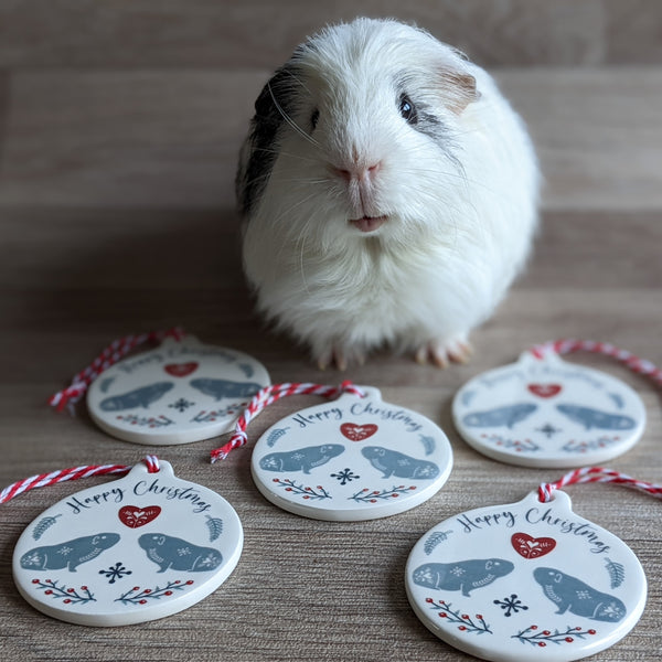 Guinea Pig Christmas Decoration (Nordic)