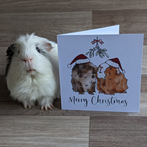 Mistletoe Guinea Pig Christmas Card