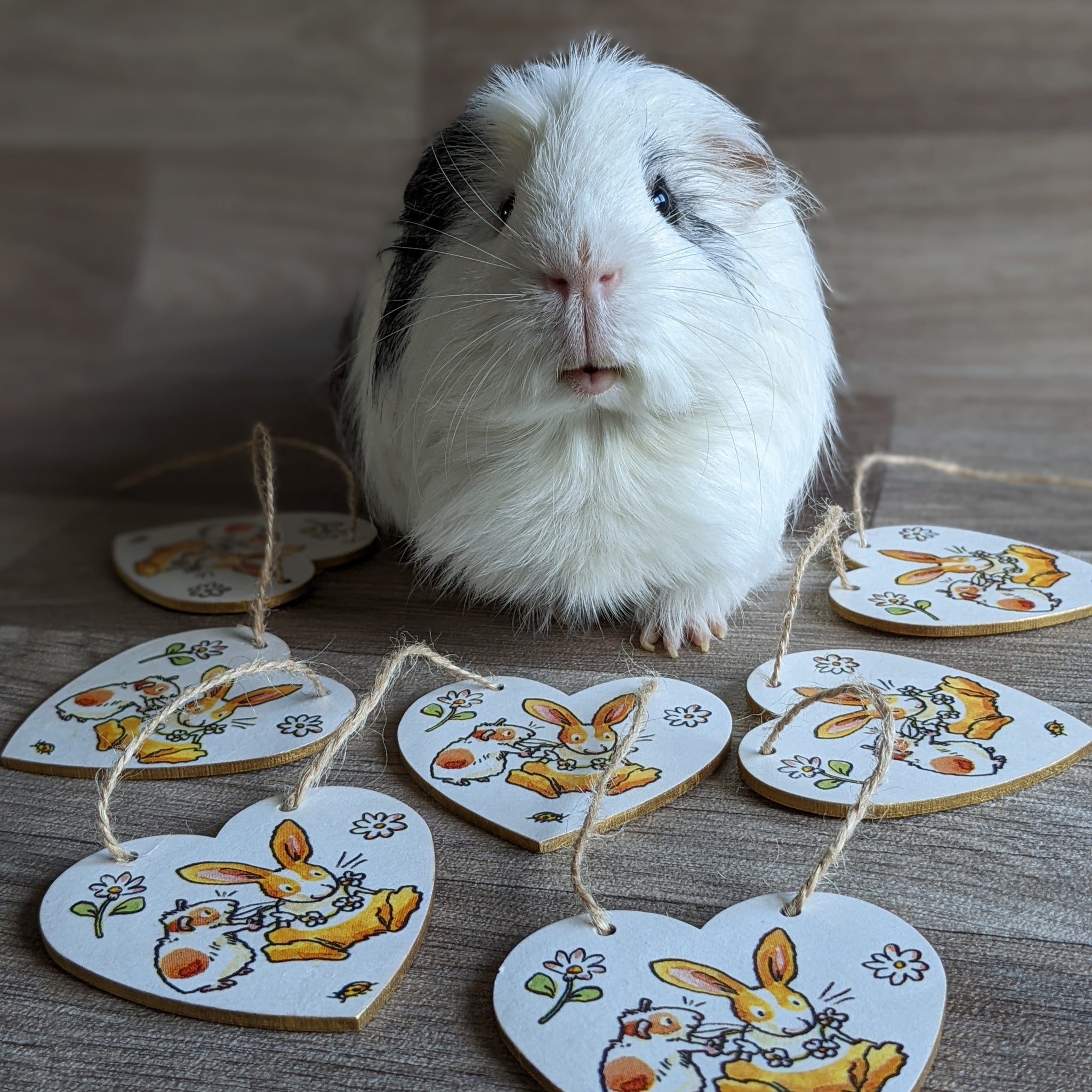 Wooden Rabbit and Guinea Pig Heart Bunting (Daisy Necklace)
