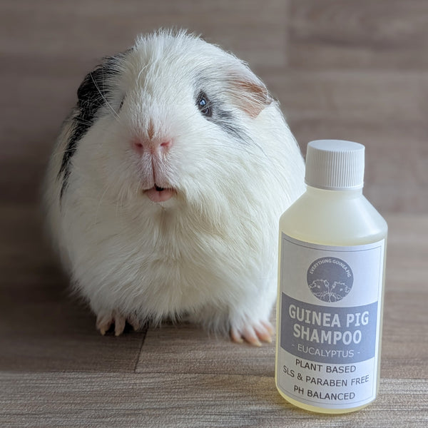 Guinea Pig Grooming Kit